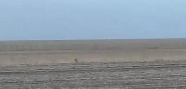 中蒙邊境線明火已被撲滅，為什么蒙古那么容易發(fā)生草原火災？